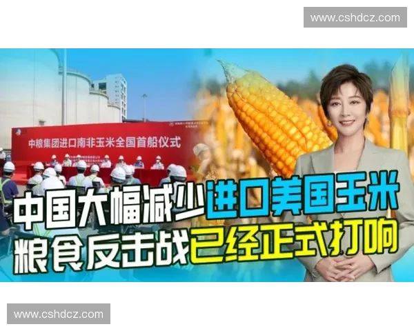 反击战略全面解析：如何在复杂局势中掌握主动权